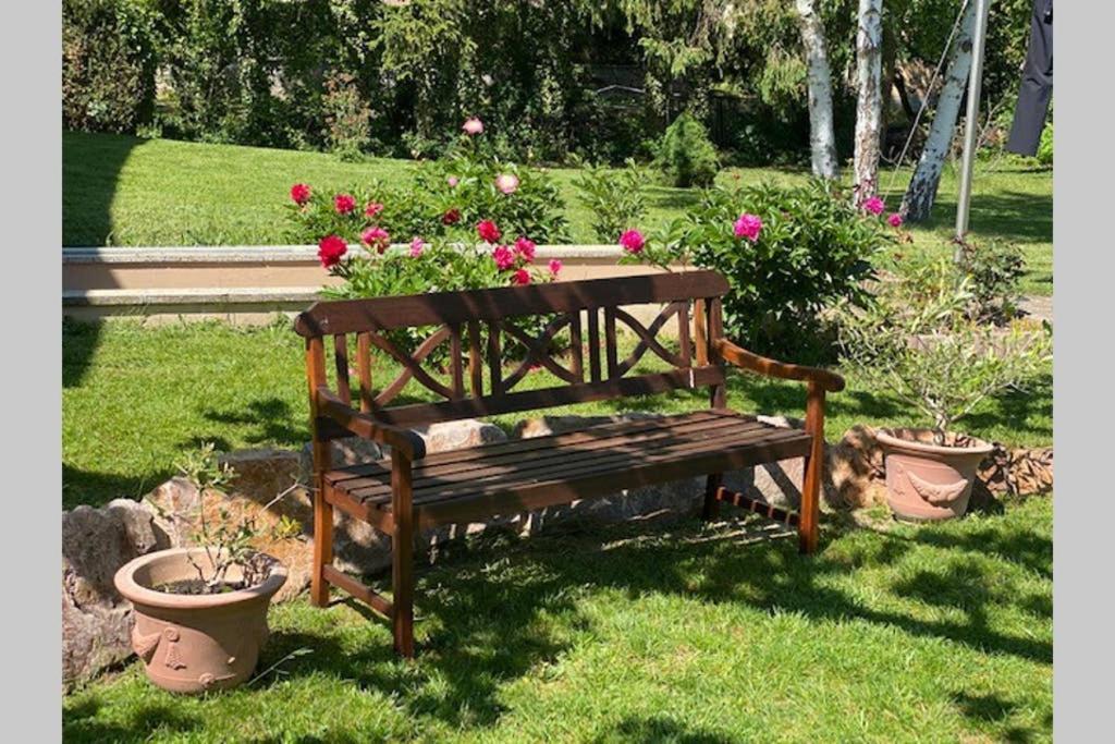 Gite "Le Platane" 45 M2 - Climatise Monswiller Exterior photo