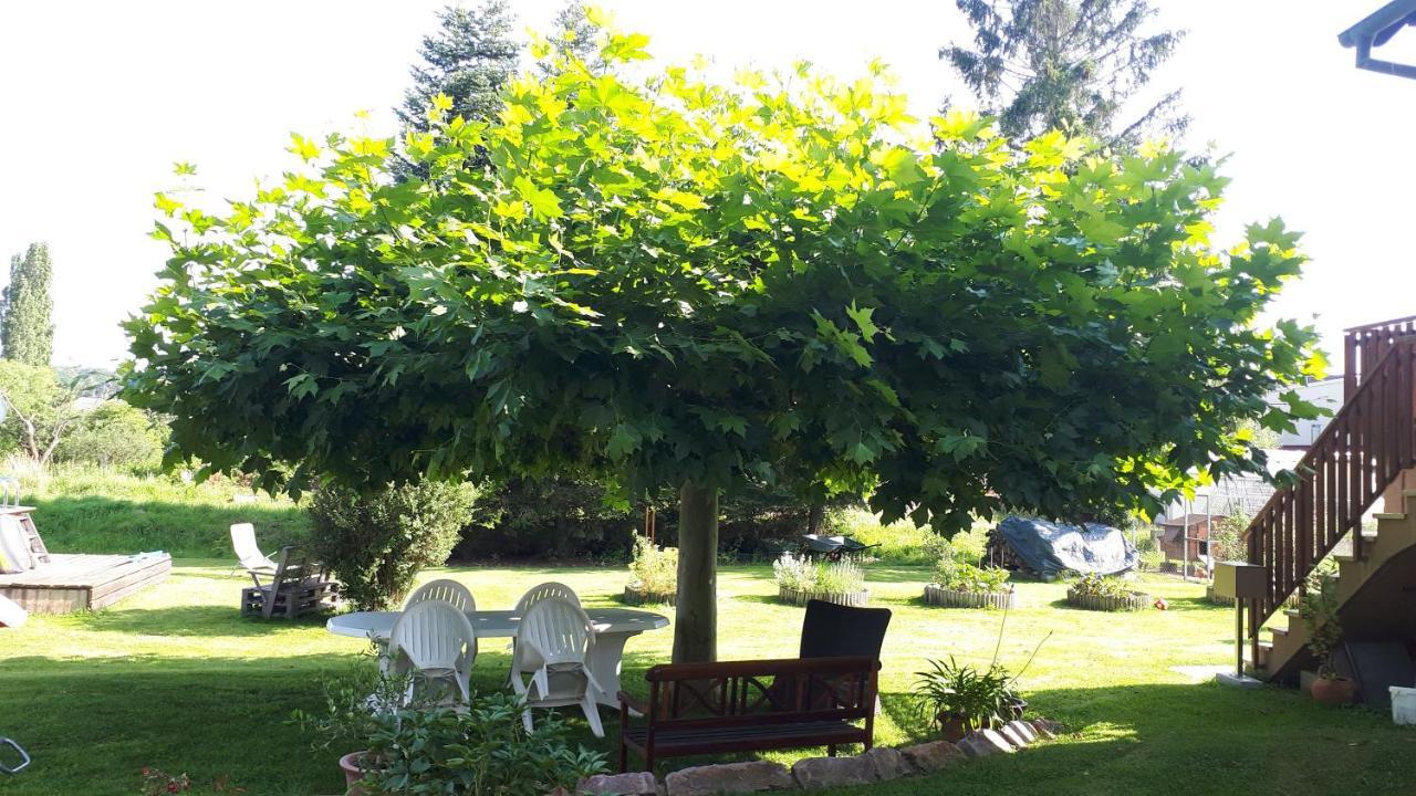 Gite "Le Platane" 45 M2 - Climatise Monswiller Exterior photo