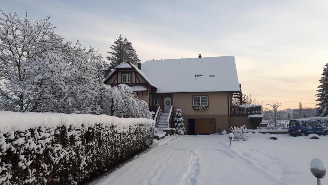 Gite "Le Platane" 45 M2 - Climatise Monswiller Exterior photo